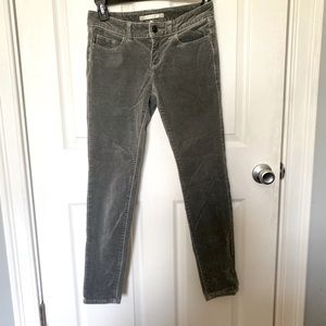 LC Lauren Conrad velvet skinny jeans